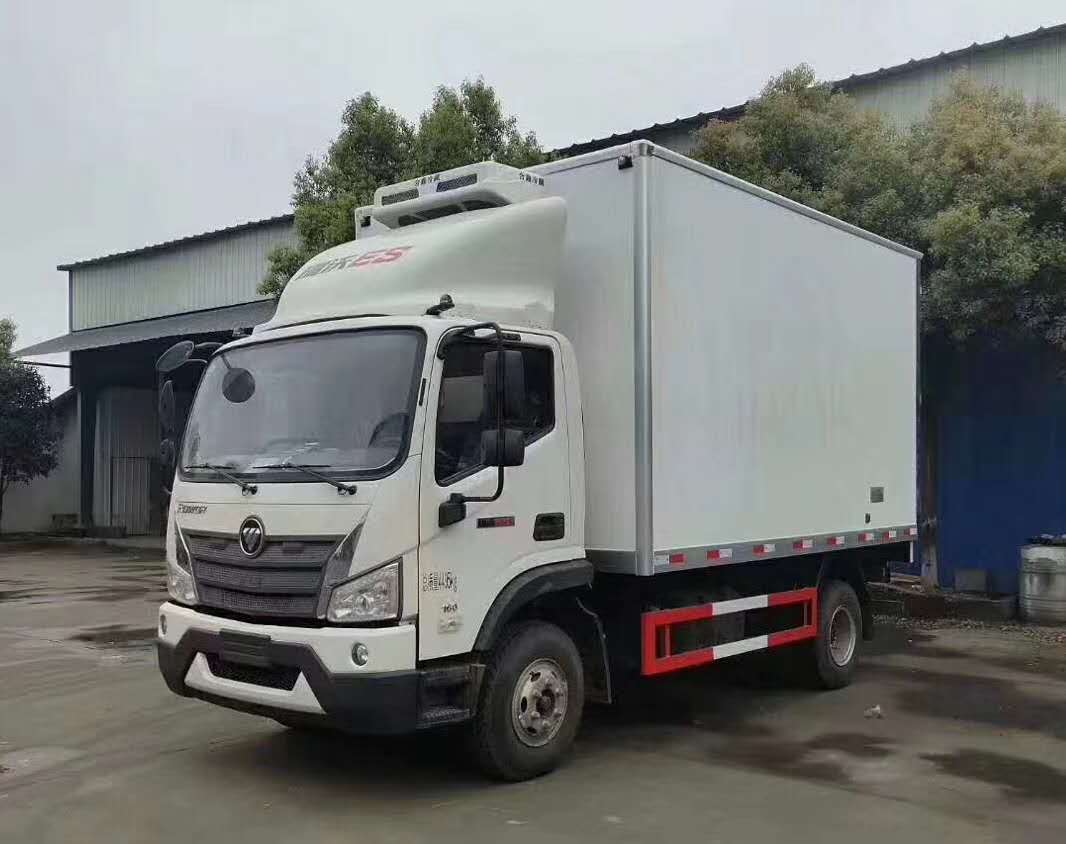 瑞沃ES3藍牌重載23立方冷藏車