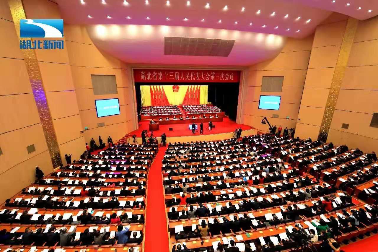 程力集團(tuán)總經(jīng)理作為人大代表參加湖北省十三屆人大三次會議