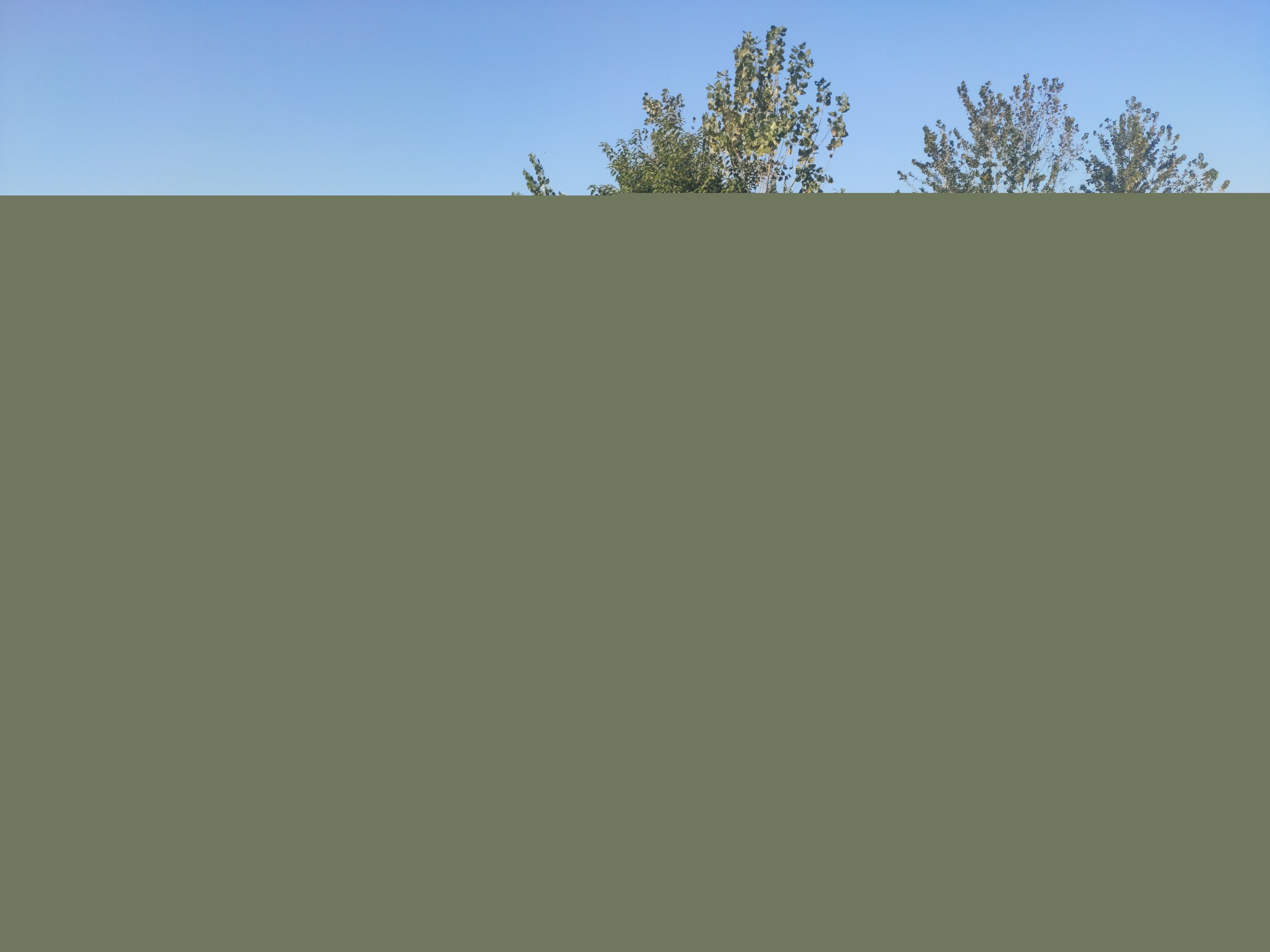 小型價格優惠氣瓶車來襲